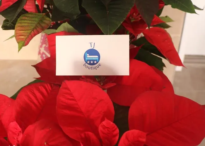 Pensjonat Tj Boutique